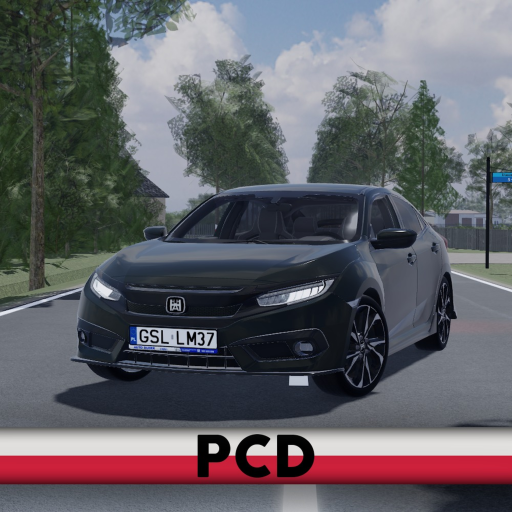 Polish Car Driving