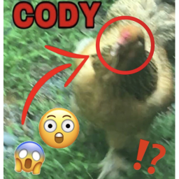 😱CODY BOX😱