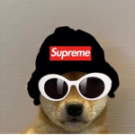 The cool dawgs 1st