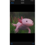 Fan of funneh1