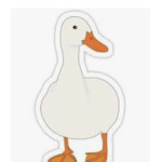 Lucky ducks<3