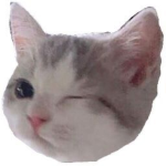 くるみのおへや