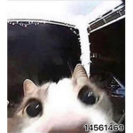 ß1G ¥1TT13$