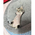 test test 12312112321312231313