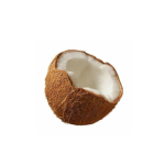 -the coconut gang-