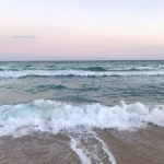 ••SeaShell••