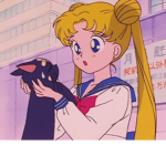 ~sailor moon fans~