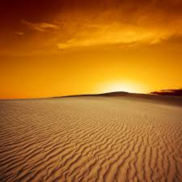 Desert Oasis