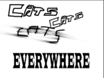 CATS CATS CATS CATS EVERYWHERE