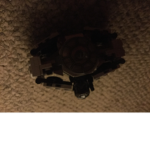 My awesome unicorn and turtle fan club