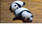 Panda_fan_group_love_pandas