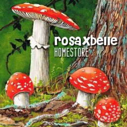 aesthetic homestore rosa xbelle