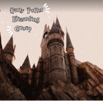 -Harry Potter Wizarding Group-