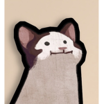 Pop cat kitkat