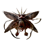 | Cult of the Mothman |