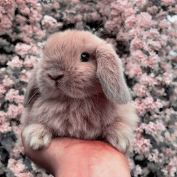 ♡