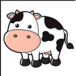 Mooooo cows
