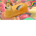 Team Doge