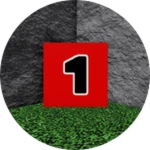 One  cube