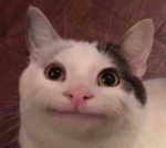 ᑭIᑕKᒪᗴ UGC