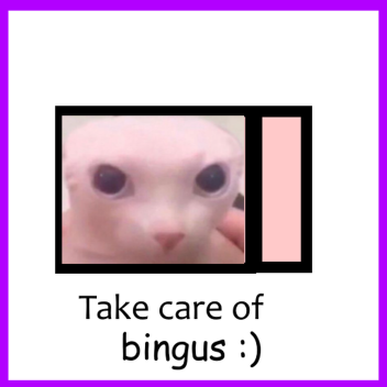 Take care of Bingus(WIP)