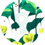 Access All Rooms🚪🛌