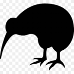 [New Zealand Defence Force]