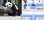 Quirky Panda's and Casual Clothing Club