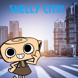 Shelly City!!