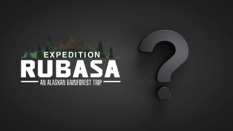 NEXT UPDATE TEASER