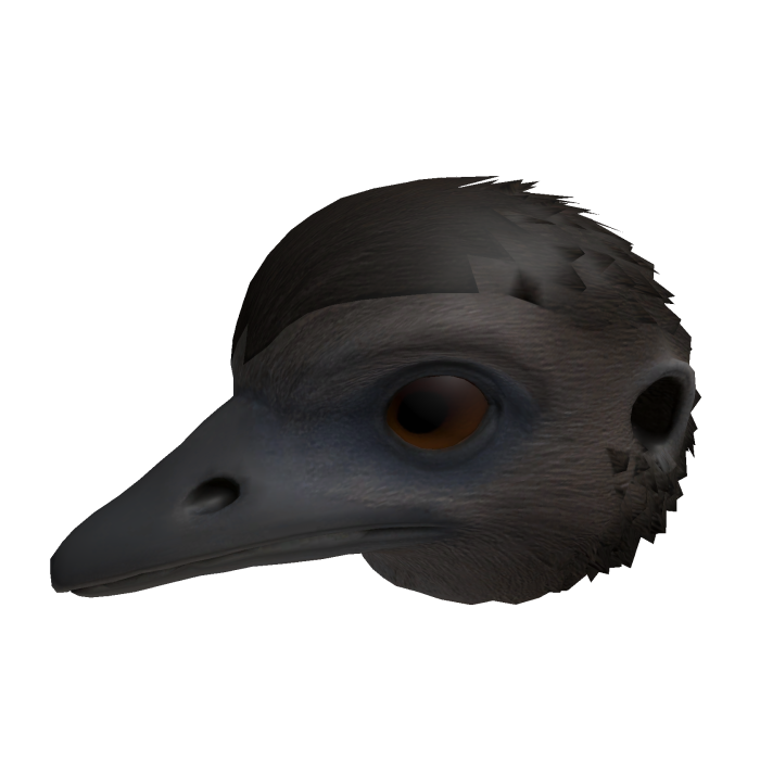 Emu Head