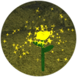 Yellow Flower