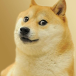 THE GREAT GOLDEN DOGES