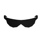 Black Sleek Shades