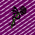 Vashion
