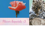 Flower leopards