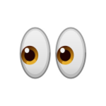 Observer