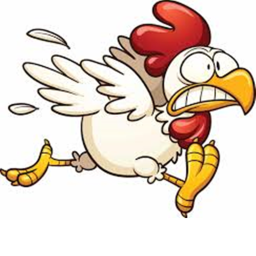 Chicken Run