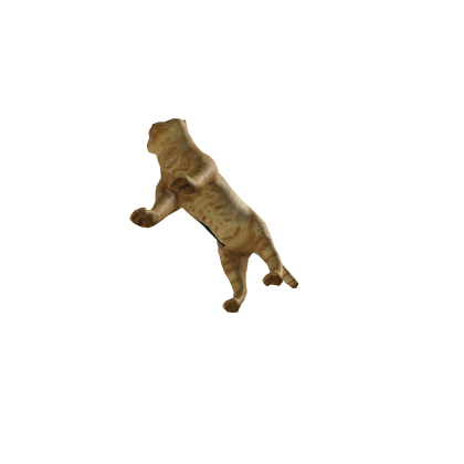 cat vehicle