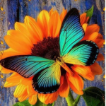 Lovely flowers YT