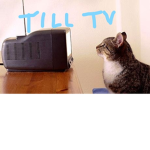 TILL TV