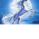 Unicorns r tha best