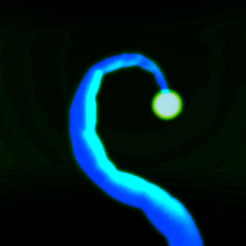 OperationOarfish_Team6.mov