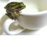 Roblox Frog C.E.O