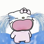 we love sanrio!!
