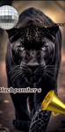 Black panthers!! Cheer team!!