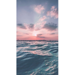 Ocean’s Sea | Social Group