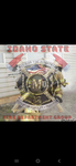 Idaho State Fire