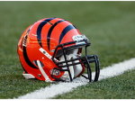 [BENGALS FAN GROUPS]