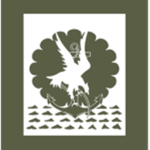 AF | 11ᵉ Brigade Parachutiste